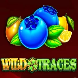 Wild Traces slot visual from Amusnet Interactive available on instantccasino.com